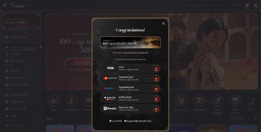 Casina Payment Methods