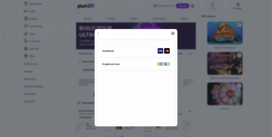 Puntit Payment Methods